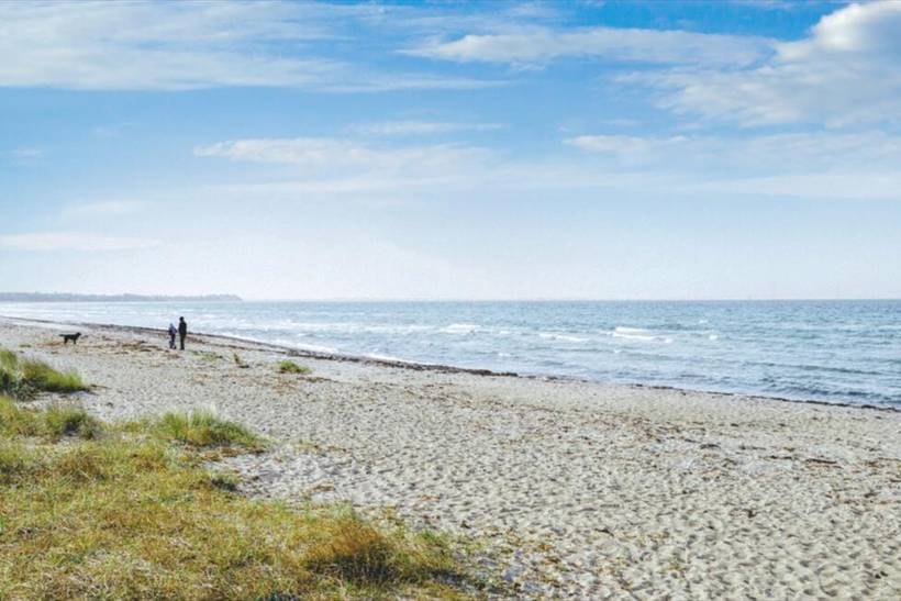 Foto von Ferienhaus XD94 in Kongsmark - Westseeland