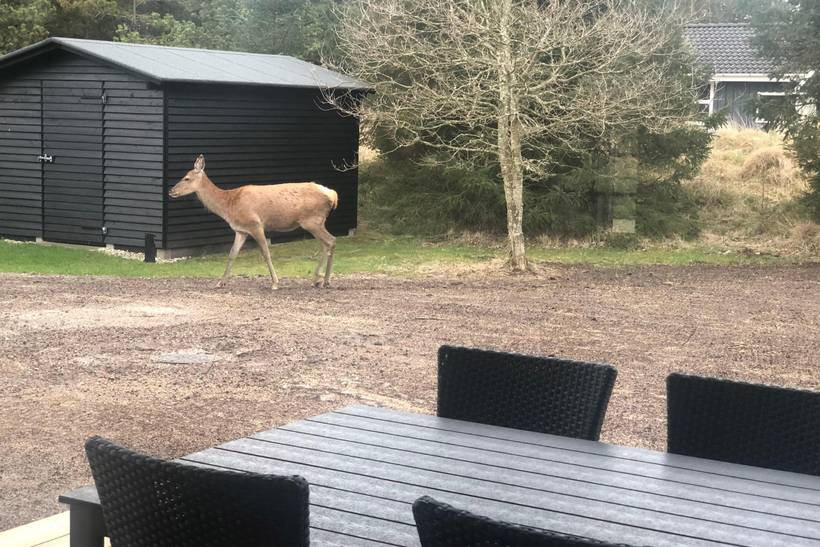 Foto von Ferienhaus XE37 in Vejers Strand - Westjütland