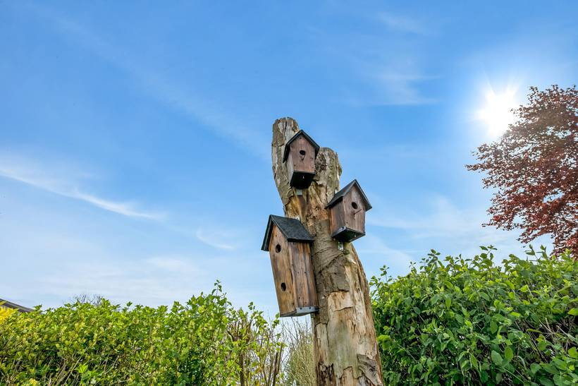 Foto von Ferienhaus XF40 in Saksild - Odder - Ostjütland