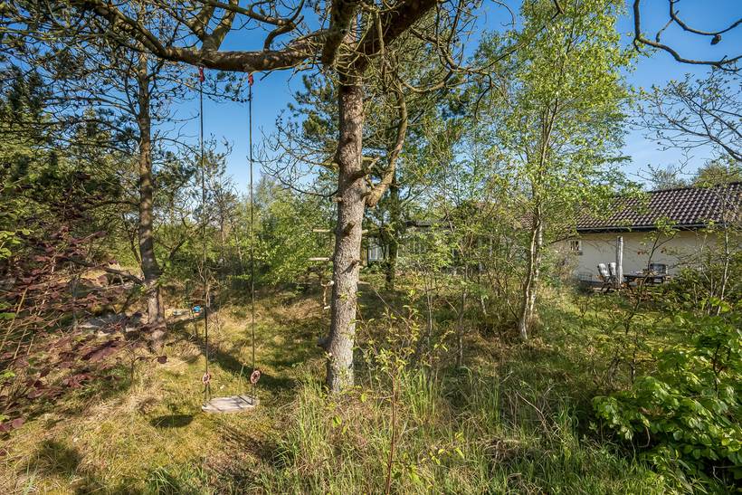 Foto von Ferienhaus XF74 in Søndervig - Westjütland