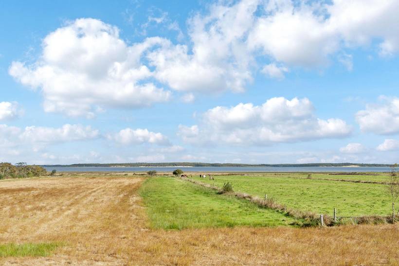 Foto von Ferienhaus XF75 in Ho - Blåvand - Westjütland
