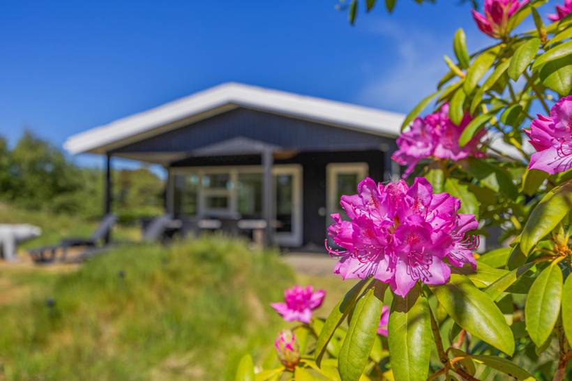 Foto von Ferienhaus XG79 in Rindby - Fanø