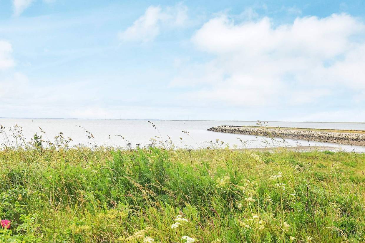 Foto von Ferienhaus XH41 in Krik Vig - Thy/Limfjord