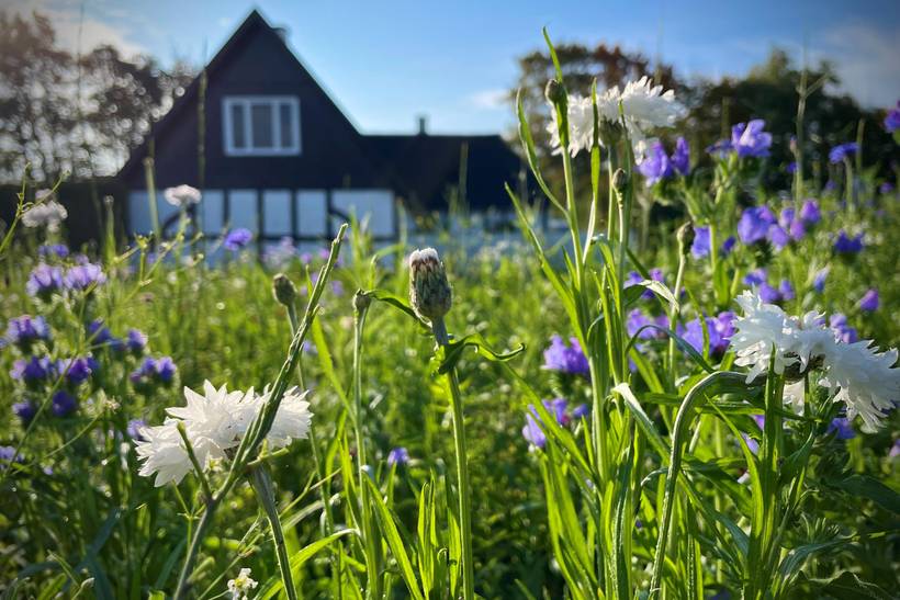 Foto von Ferienhaus XH85 auf Bøjden - Südfünen