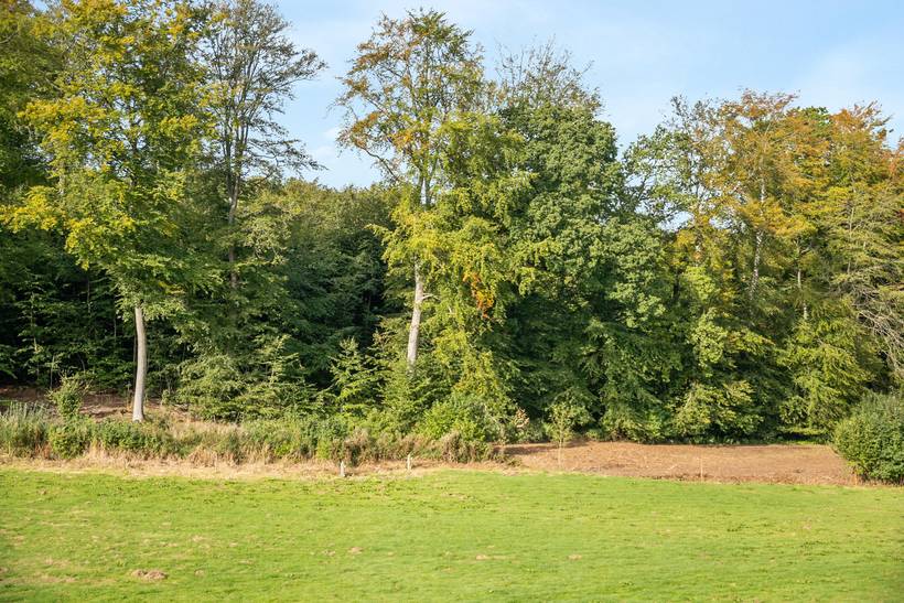 Foto von Ferienhaus XI01 in Varnæs - Südjütland