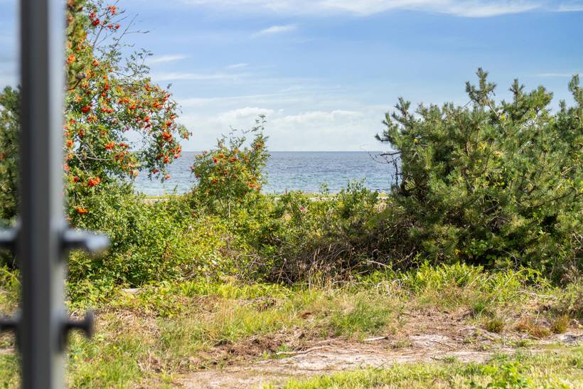 Foto von Ferienhaus XJ53 in Sjællands Odde - Westseeland