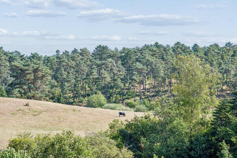 Foto von Ferienhaus XJ70 in Egsmark - Ebeltoft - Ostjütland