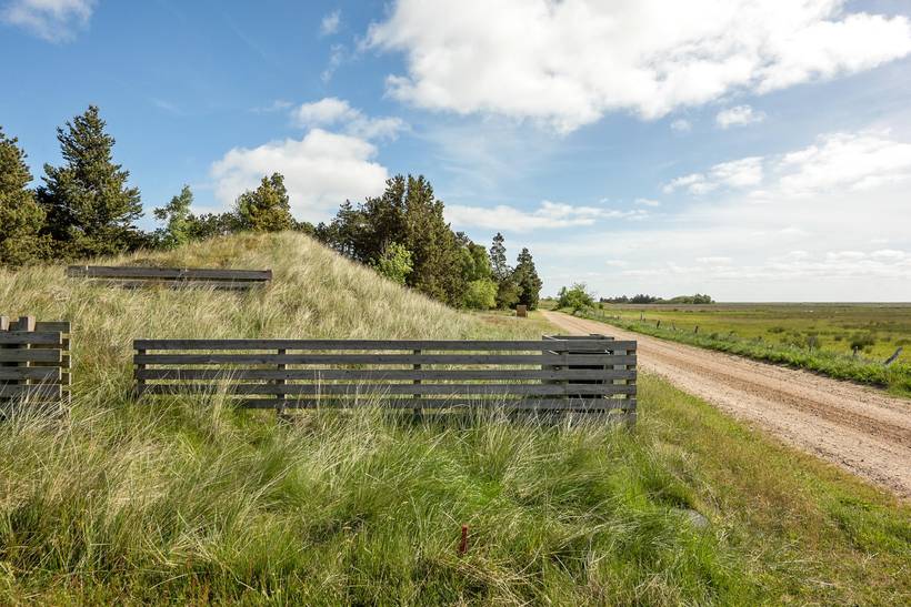Foto von Ferienhaus XL15 in Toftum - Rømø