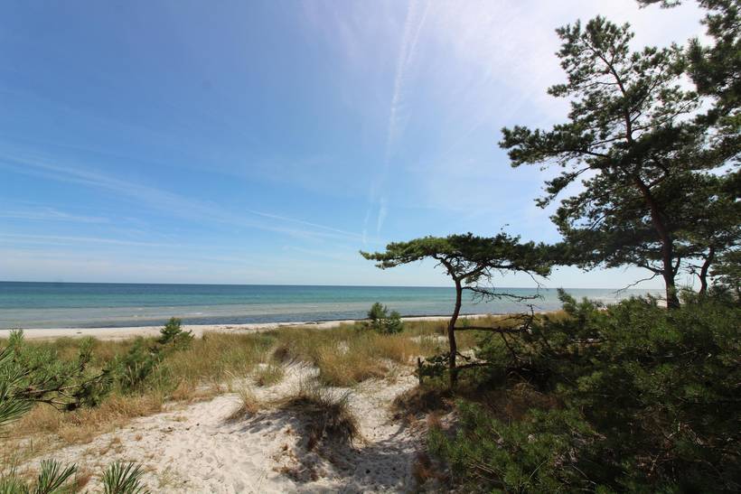 Foto von Ferienhaus XL35 in Dueodde - Bornholm