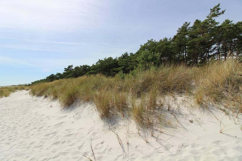 Foto von Ferienhaus XL35 in Dueodde - Bornholm