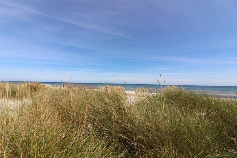 Foto von Ferienhaus XL35 in Dueodde - Bornholm