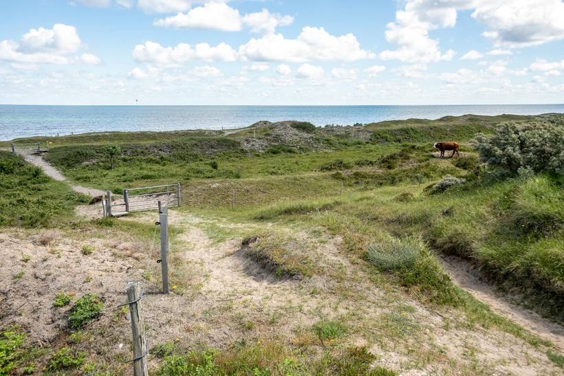 Foto von Ferienhaus XL85 in Sjællands Odde - Westseeland