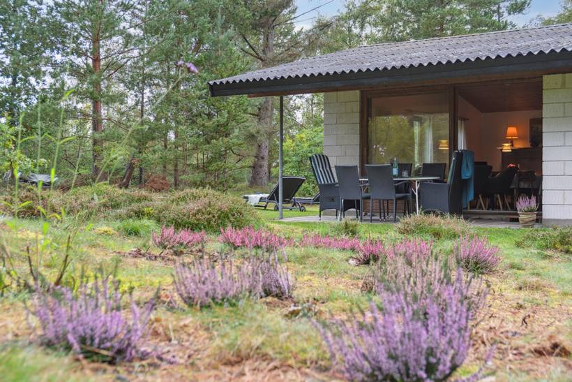 Foto von Ferienhaus XM26 in Sejerø Bugt - Westseeland