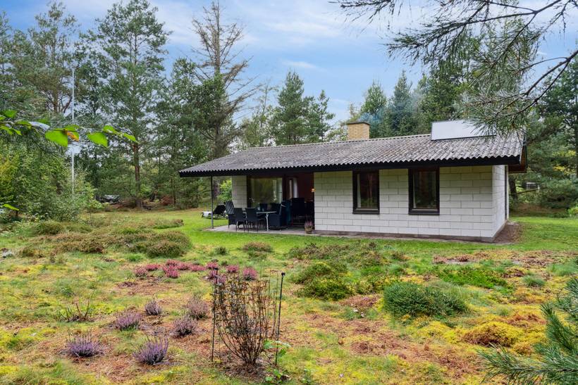 Foto von Ferienhaus XM26 in Sejerø Bugt - Westseeland