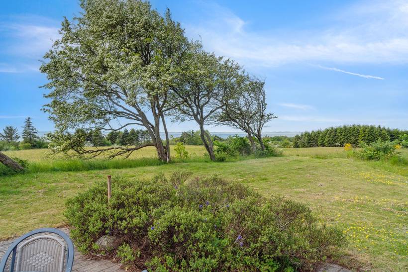 Foto von Ferienhaus XM50 in Fur - Thy/Limfjord