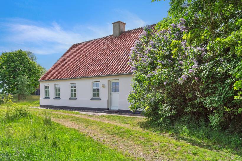 Foto von Ferienhaus XM50 in Fur - Thy/Limfjord