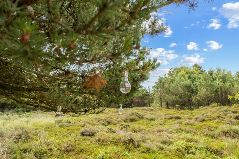 Foto von Ferienhaus XO15 in Kongsmark - Rømø