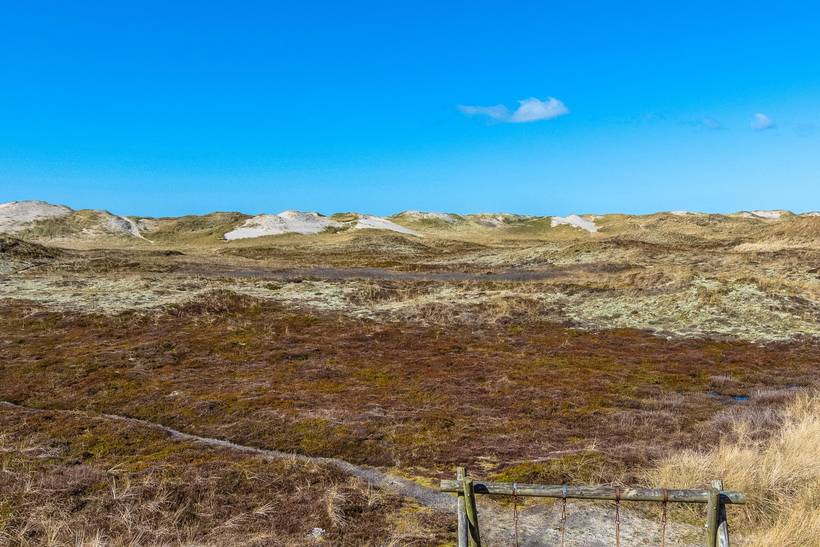 Foto von Ferienhaus XO70 in Houvig - Søndervig - Westjütland