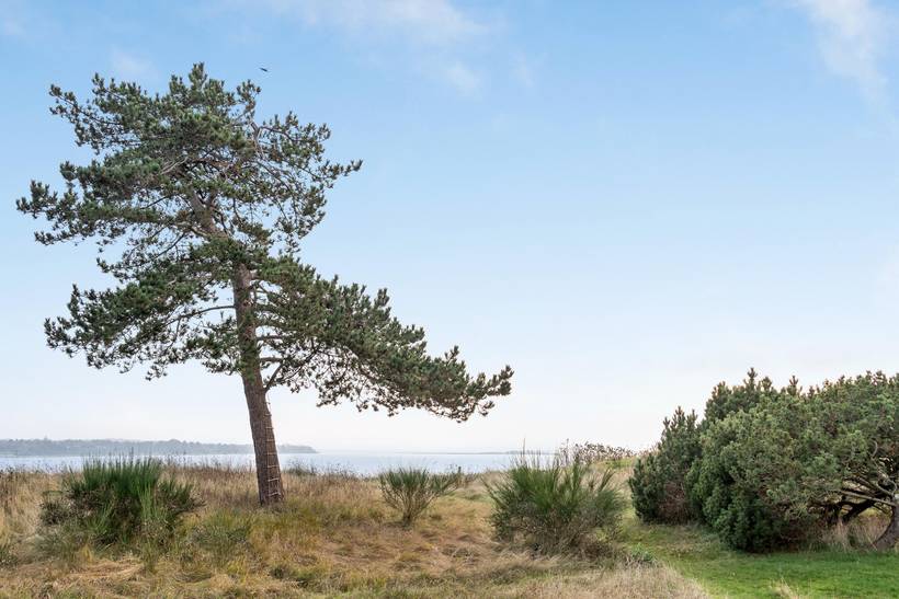 Foto von Ferienhaus XP10 auf Hundested - Nordseeland