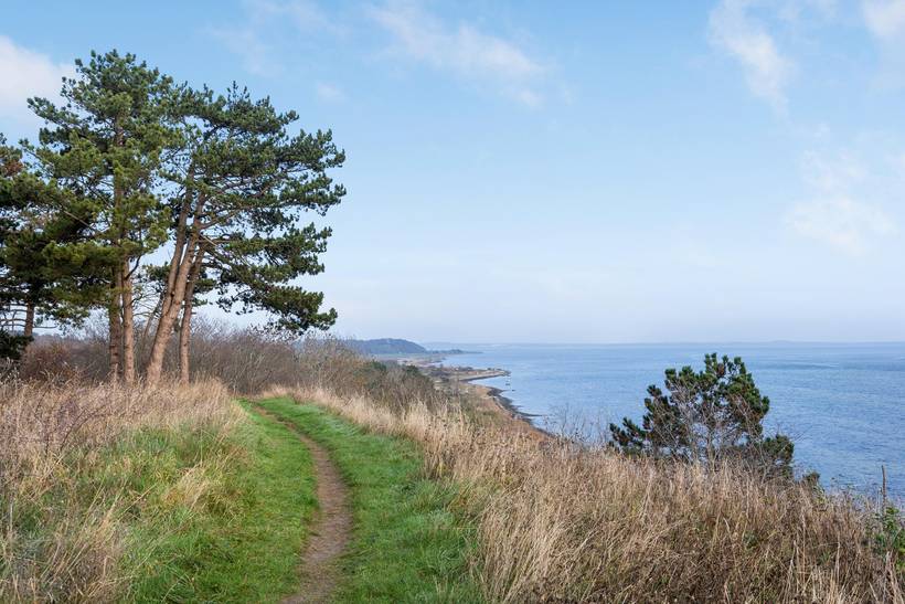 Foto von Ferienhaus XP10 auf Hundested - Nordseeland