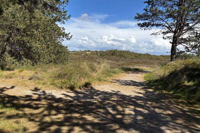 Foto von Ferienhaus XQ33 in Kongsmark - Rømø