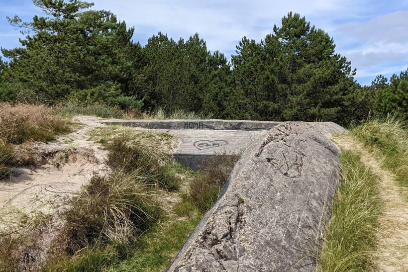 Foto von Ferienhaus XQ33 in Kongsmark - Rømø