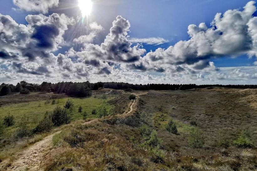 Foto von Ferienhaus XQ33 in Kongsmark - Rømø