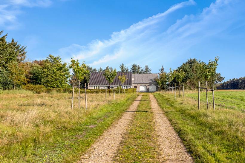 Foto von Ferienhaus XQ40 in Hemmet - Westjütland
