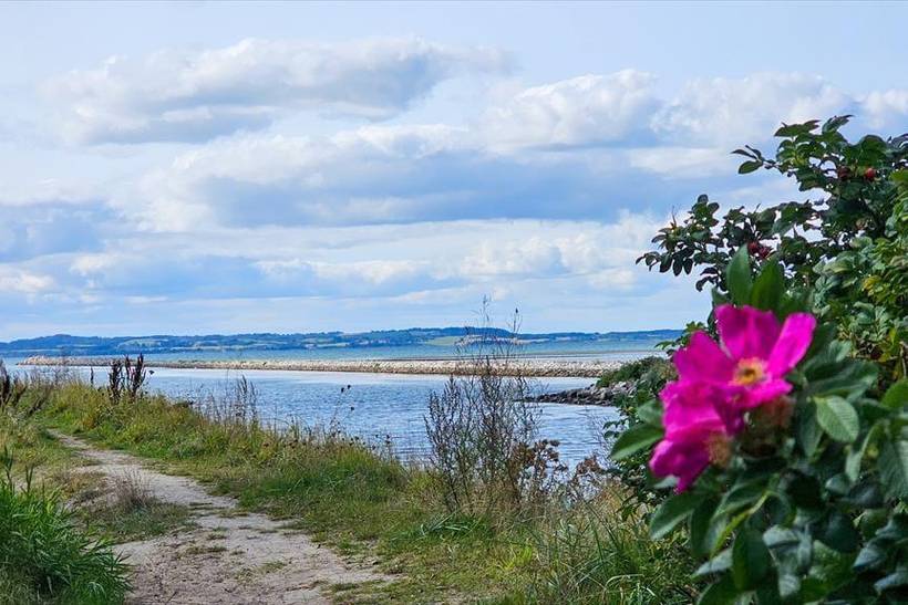 Foto von Ferienhaus XQ93 in Ebeltoft - Ostjütland