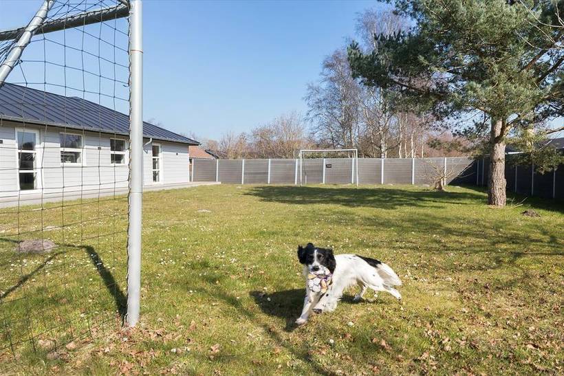 Foto von Ferienhaus XQ93 in Ebeltoft - Ostjütland