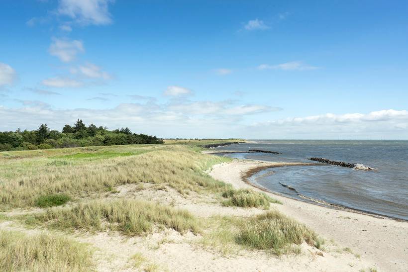 Foto von Ferienhaus XT38 in Hyldtofte - Lolland