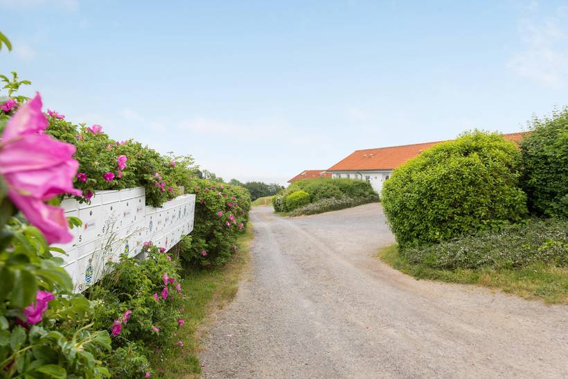 Foto von Ferienhaus XT97 in Sandkås - Bornholm