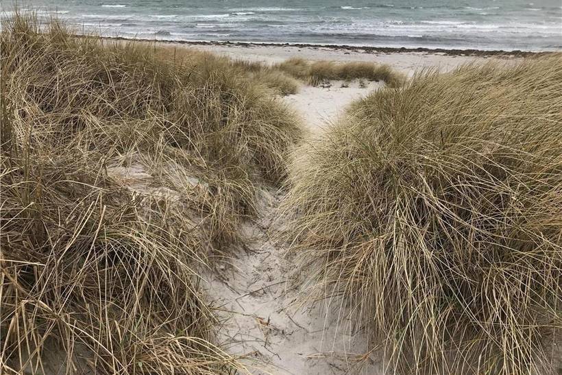Foto von Ferienhaus XU21 in Sejerø Bugt - Westseeland