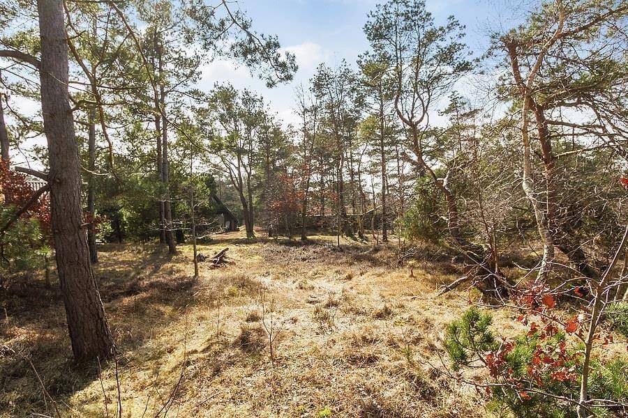 Foto von Ferienhaus XU21 in Sejerø Bugt - Westseeland