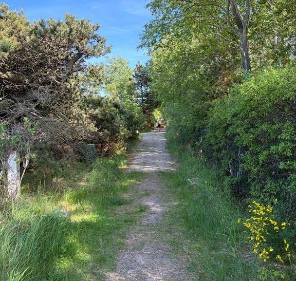 Foto von Ferienhaus XU43 in Sejerø Bugt - Westseeland
