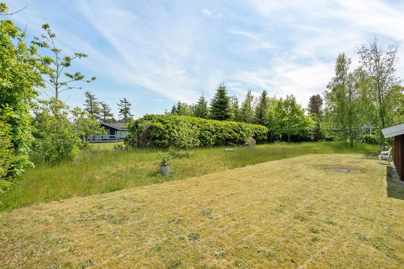 Foto von Ferienhaus XU77 in Trend - Thy/Limfjord