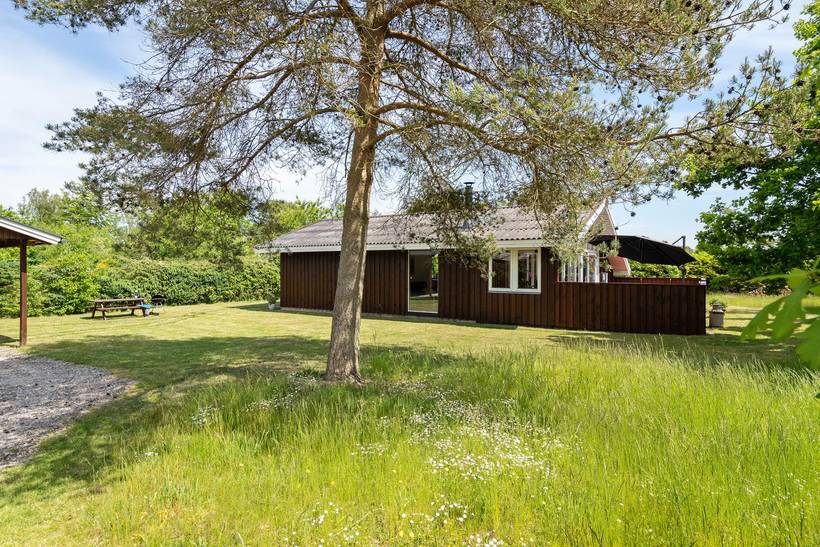 Foto von Ferienhaus XU77 in Trend - Thy/Limfjord