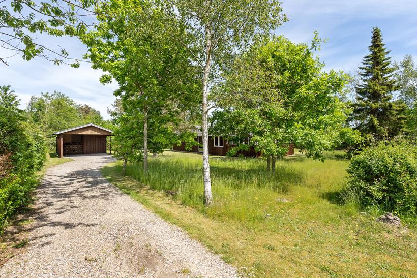 Foto von Ferienhaus XU77 in Trend - Thy/Limfjord