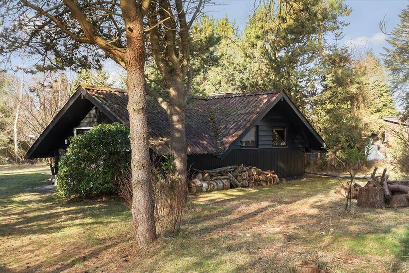 Foto von Ferienhaus XV74 in Gedesby - Falster