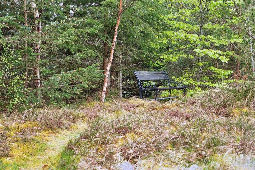 Foto von Ferienhaus XV75 in Blokhus - Nordjütland