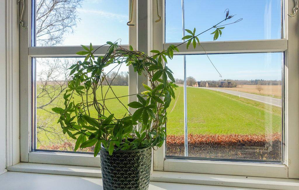 Foto von Ferienhaus XW22 in Hasle - Bornholm
