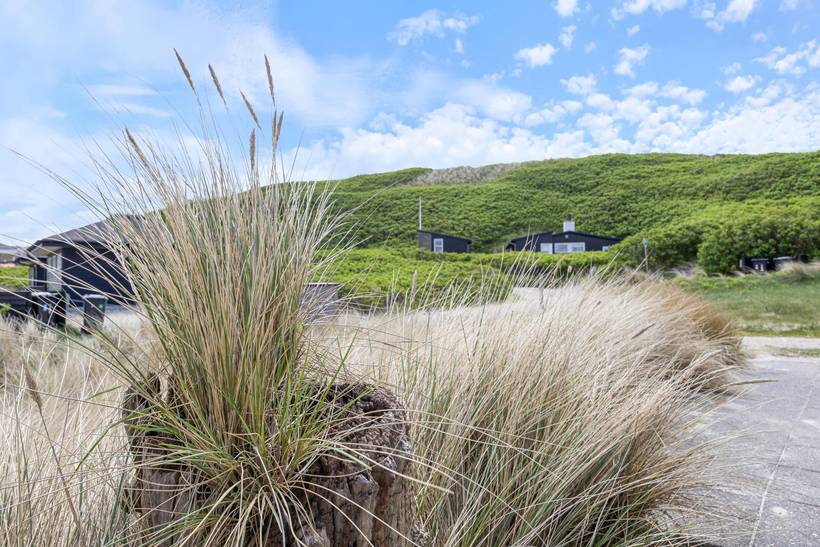 Foto von Ferienhaus XX52 in Årgab - Westjütland