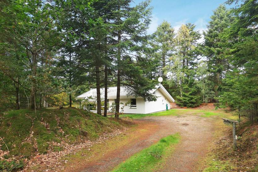 Foto von Ferienhaus XX62 in Saltum - Blokhus - Nordjütland