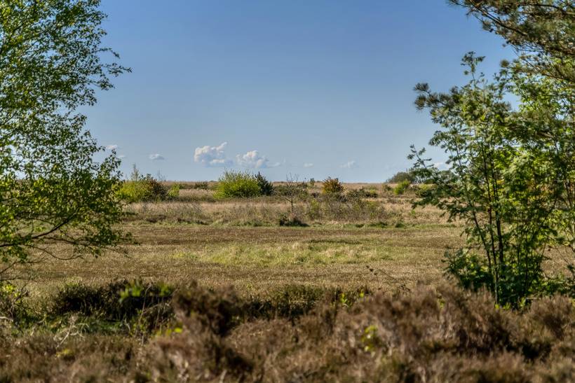 Foto von Ferienhaus XX72 in Hou - Nordjütland Ost