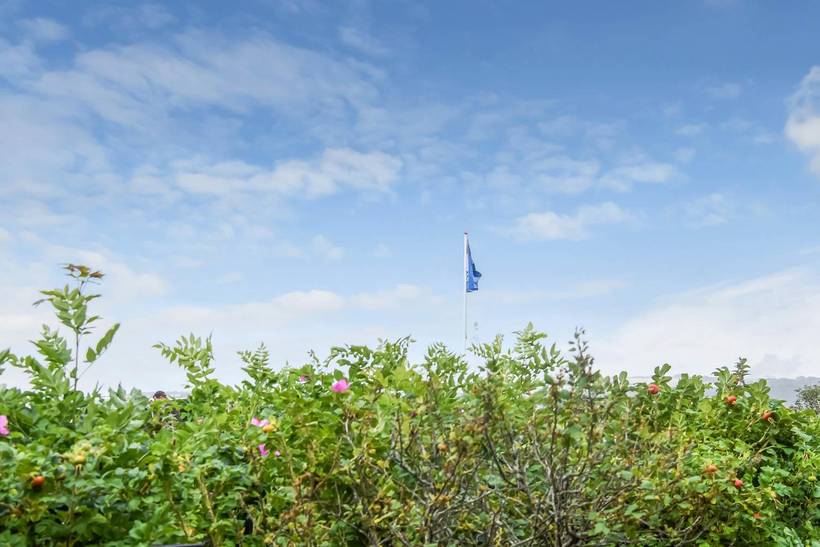 Foto von Ferienhaus XX80 in Gjellerodde - Westjütland