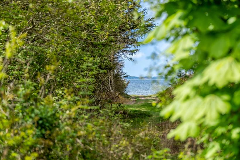 Foto von Ferienhaus XX98 in Spøttrup - Thy/Limfjord