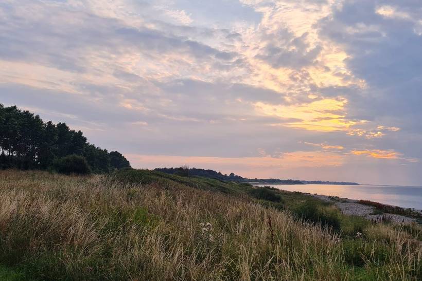 Foto von Ferienhaus XY39 in Sjællands Odde - Westseeland