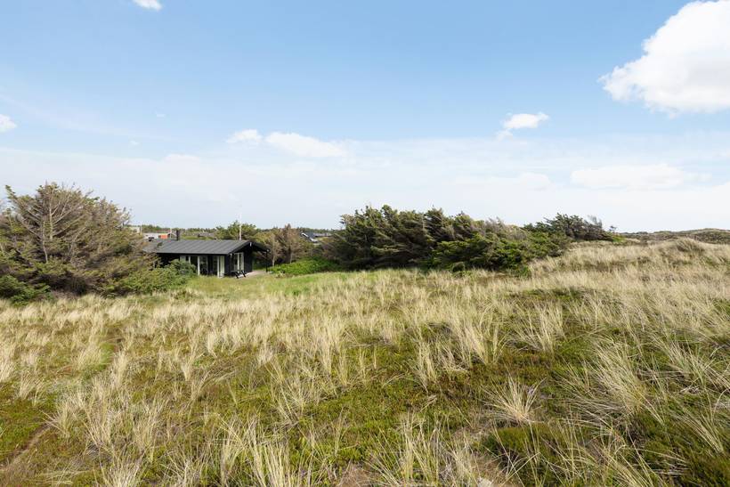 Foto von Ferienhaus XY81 in Klegod - Westjütland