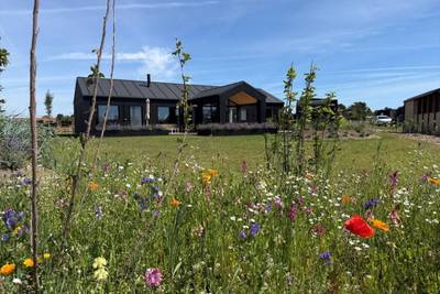 Vorschaubild von Ferienhaus XZ04 in Saksild - Odder - Ostjütland