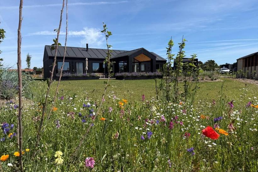 Foto von Ferienhaus XZ04 in Saksild - Odder - Ostjütland